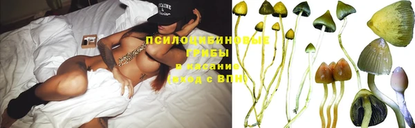 МДПВ Зерноград